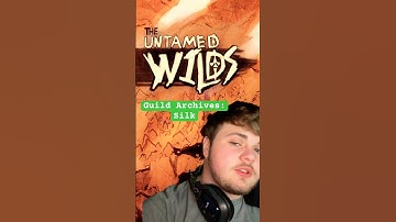 FTGA - Silk #worldbuilding #indiegame #gamedesign #gamedevelopment #gaming #rpg #dnd #fantasy