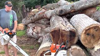 Stihl MS661 MTronic vs 066 Red Light