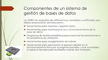 ¿Cuáles son los 4 componentes principales de una base de datos?