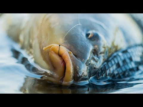 Video: Kaip Padaryti Sodo Dekorą: Originali žuvis