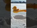 The little guy turned so perfect  satisfying snow