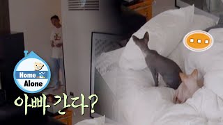 Yoo Ah In’s cats translate what he’s saying [Home Alone Ep 351]