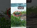 دجلة يختنق بالنفايات والصرف الصحي .. من ينقذ شريان العراق؟