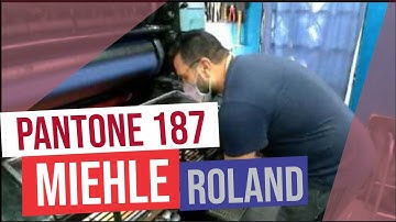 Pantone 187 - IMPRESIÓN offset Roland Miehle - offset Press #offsetpress #imprenta #offset