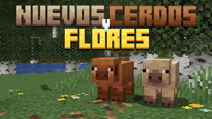 ¿VAN A CAMBIAR TODOS LOS BIOMAS? - Primeras Impresiones 25w02a