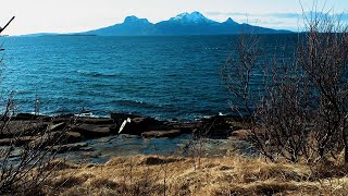 Windy spring day by the shore with wind and waves sounds screenshot 3