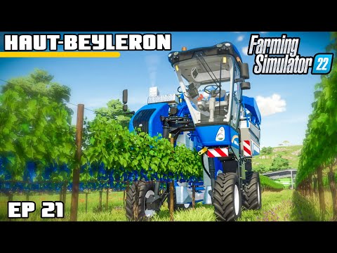 New Production Building! Big Grape Harvest| Farming Simulator 22 - Haut-Beyleron | Episode 21