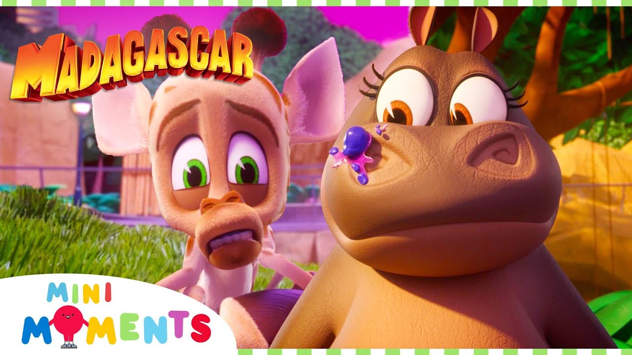 Adventures In Petsitting! 🦔 | Madagascar: A Little Wild | Compilation ...