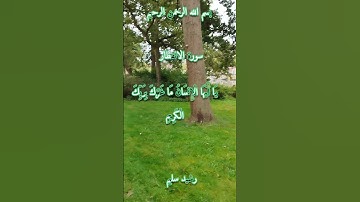 سورة الانفطار بصوت جميل