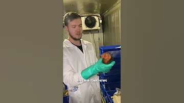 Как хранить рыбу холодного копчения?