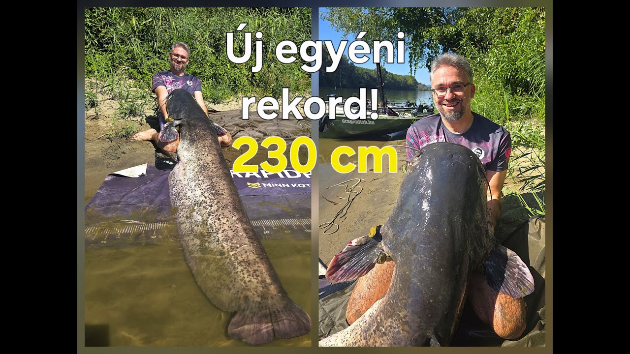 Harcsás kalandok - 11. rész: Új egyéni rekord - 230 cm