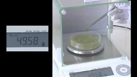 TX TXB TXC Series Top-loading Balances