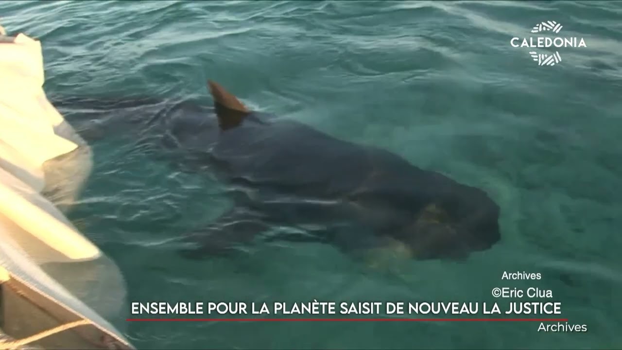 Ensemble pour la planète saisit de nouveau la justice