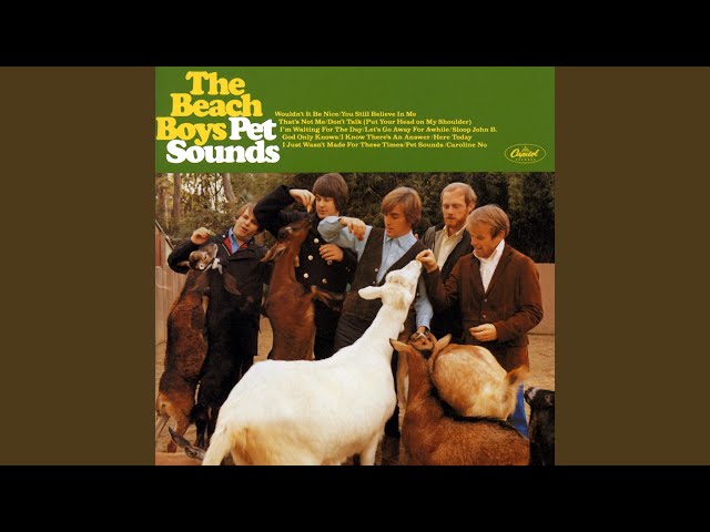 Beach Boys - I Know There's An Answer