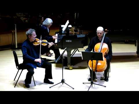 Pavel Vernikov e Trio Čajkovskij - Pëtr Il’ič  Čajkovskij, Trio elegiaco op.50 (estratto)