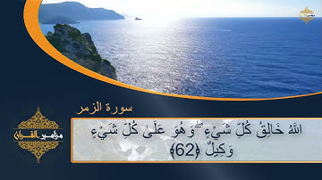 قران بصوت جميل ❤ تنسيك الدنيا وهمها💚 سورة الزمر