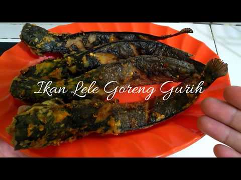 resep-ikan-lele-goreng-gurih-dan-sederhana-|-masakan-mudah-dan-enak