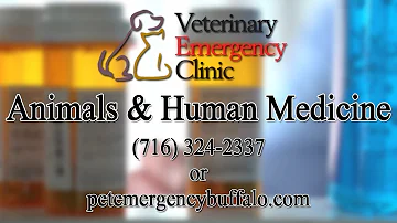 Can human medicine be given to animal?
