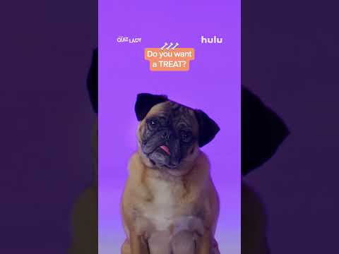 Quiz lady | pug's favorite words | now streaming on hulu