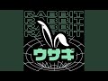 RABBIT ウサギ