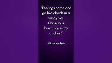 Find Calm in the Chaos | Conscious Breathing for Inner Peace