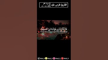 نبئ عبادي أني أنا الغفور الرحيم #القارئ_فارس_عباد #سورة_الحجر #قرآن #تلاوات #mix2_3 #sorts