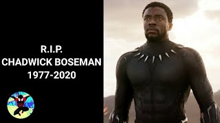 Chadwick Boseman/Black Panther Tribute - See You Again