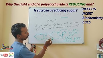 Right end is the REDUCING end of a Sugar | NEET UG | Biochemistry | NCERT Class XI ||