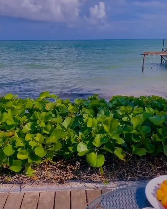 cover melukis senja (kalimba)