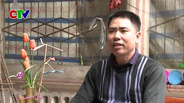 Phóng sự Chuồn chuồn tre