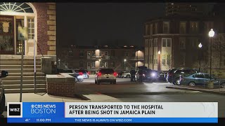 Person Shot In Jamaica Plain