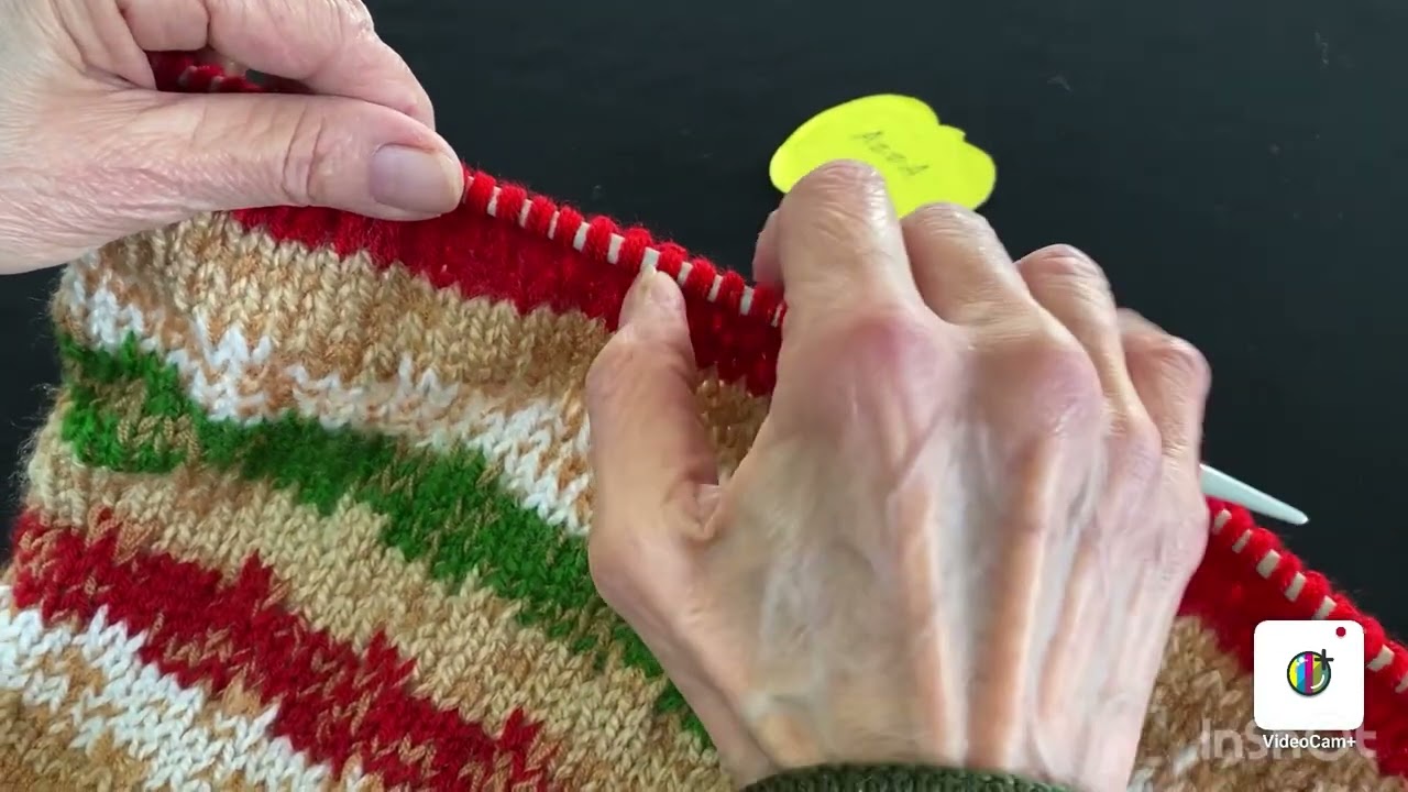 حردة السبعة وبلوزة لخمس سنوات