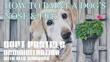How to Paint a Labrador Retriever