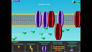Cell Defense Membrane Game 100% 4:08 WR