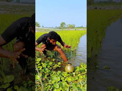 The man saw gold.#villagefunny520 #shorts #funny #comedy #viralvideo #trending