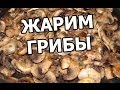 Как и сколько жарить грибы. Жареные грибы шампиньоны!