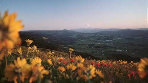 تلاوة هادئة بقمة العذوبه اجمل ماسمعت لاتوصف