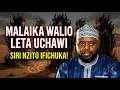 THE STORY OF THE ANGELS WHO BROUGHT DOWN SORCERY SHEKH OTHMAN MAALIM 