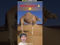 ALERT This Are Noneck Animals FSPT_289 😱😱|FactsMine | #shorts #factsero #viral
