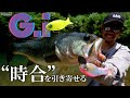 【RAID JAPAN 2021 NewProducts】”Gravity Impact”
