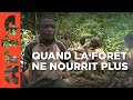 Cameroun : la terreur verte | ARTE Reportage