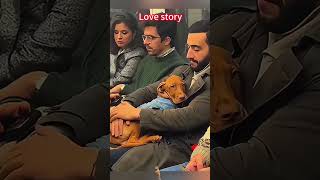 A dog’s love is pure and forever #Shorts #HappyDog #WarmMoments #PetLove #DogLovers