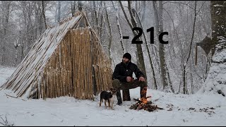 Living in a wild forest for 25 days with my little puppy at -21 degrees.