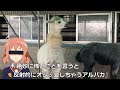 ARu子が行く！『噂』を検証シリーズ！