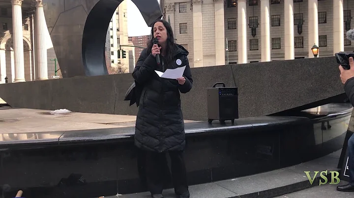 ICE out of the Courts - NYC- Attorney Jill Waldman