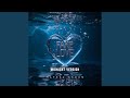 Fake Love (Midnight Version)