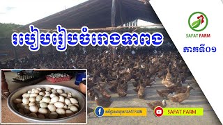 វិធិសាស្រ្តចិញ្ចឹមទាពង || ភាគទី០១