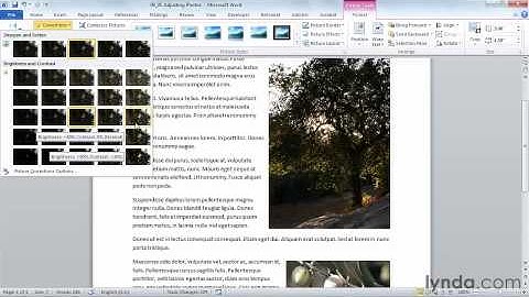 0805 Adjusting brightness, contrast, and sharpness of photos