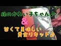 VAPE　sapor RDA 着弾♪VAPE　STEEZオリジナルリキッド紹介♪　電子タバコ