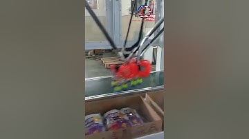 Spider type robot grapping haad type bag pouch cartoning machine encasing line